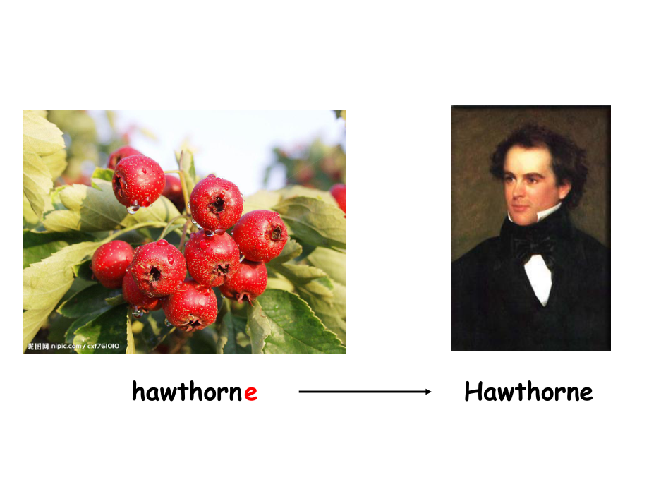 Hawthorne .ppt_第2页