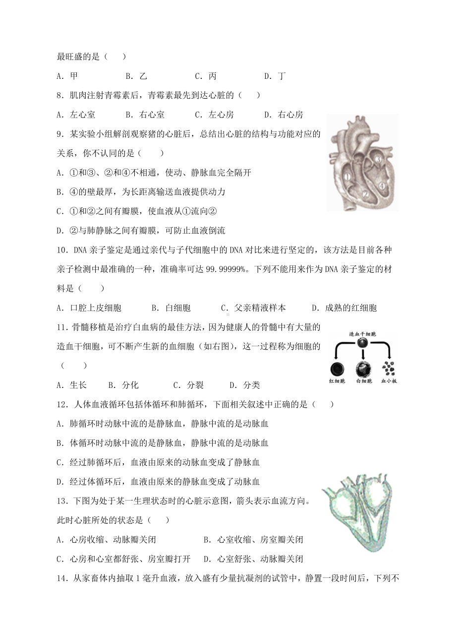 七年级生物下册-第四章-人体内物质的运输单元综合检测卷-(新版)新人教版.doc_第2页