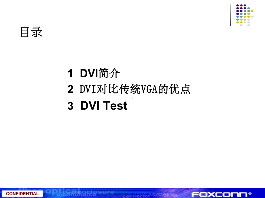 DVI测试 .ppt_第2页