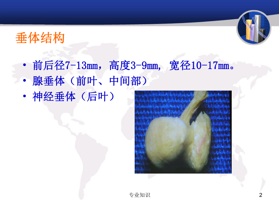 垂体前叶功能减退[专业荟萃]课件.ppt_第2页