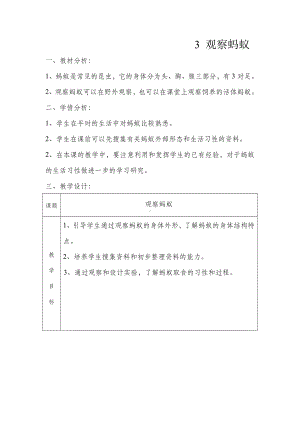 三年级上册科学教案1.3观察蚂蚁粤教版.doc