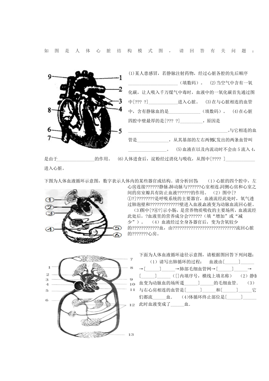 七年级生物下册识图题精选.docx_第1页