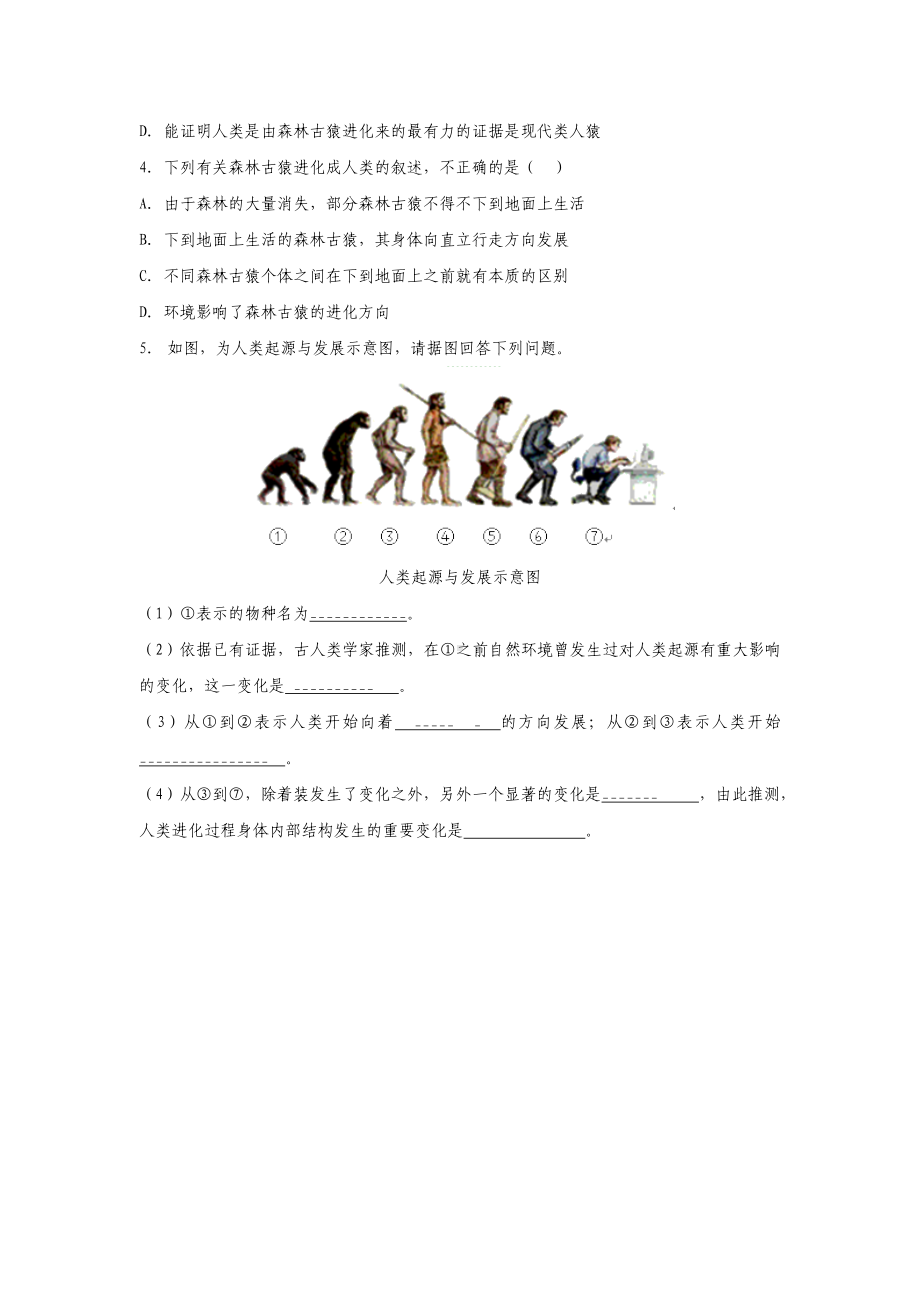 七年级生物下册-4.1.1《人类的起源和发展》学案-(新版)新人教版.doc_第3页