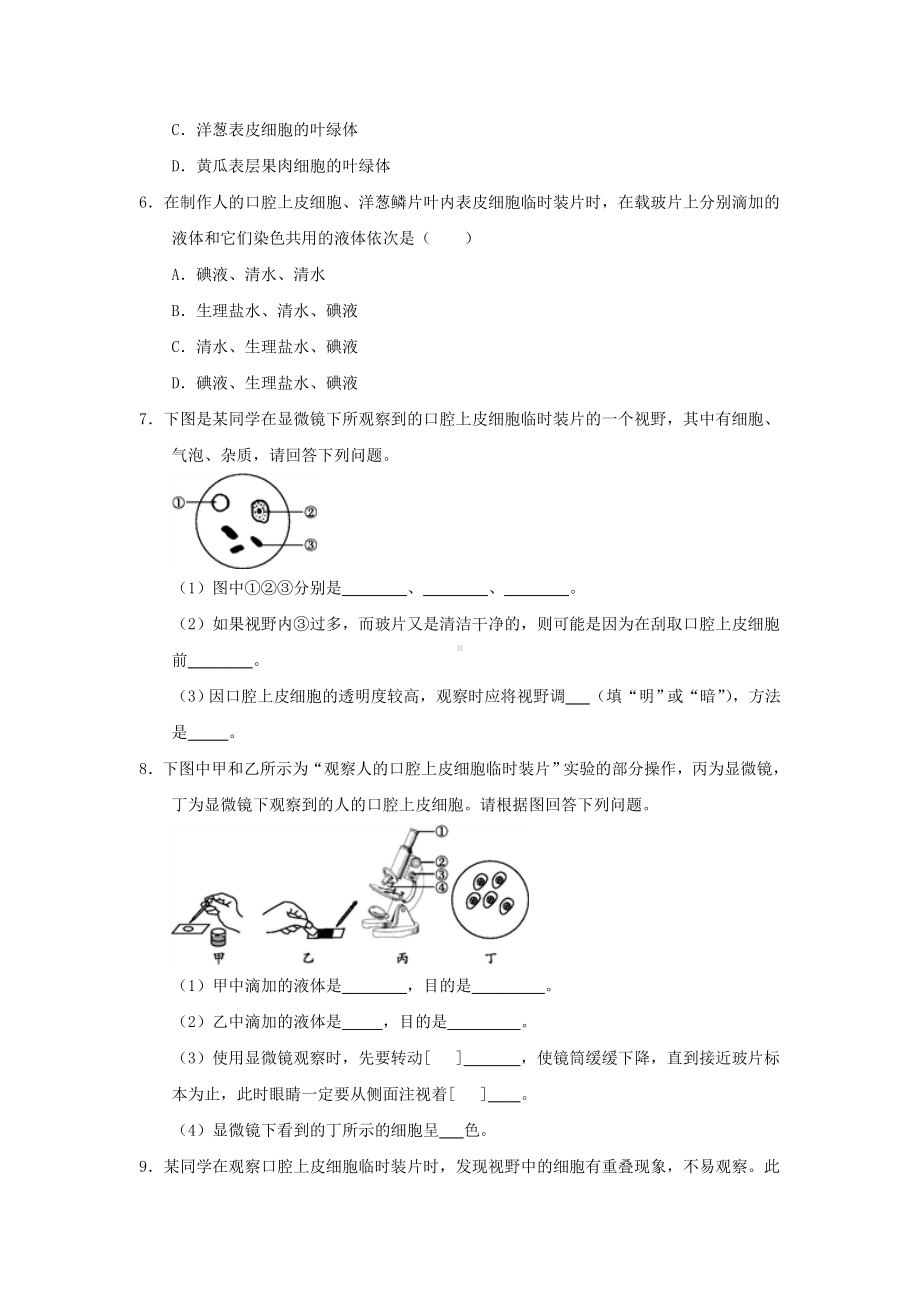 七年级生物上册生物体的结构层次-细胞是生命活动的基本单位-动物细胞作业设计新人教版.doc_第2页