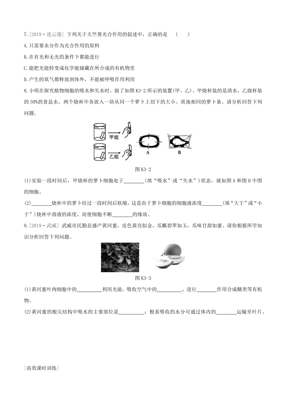 七年级生物上册生物从环境中获取物质和能量课时训练03绿色植物是有机物的生产者(新版)苏科版.docx_第2页