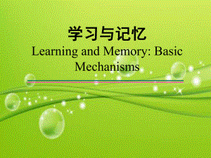 学习与记忆(神经生物学)-课件.ppt