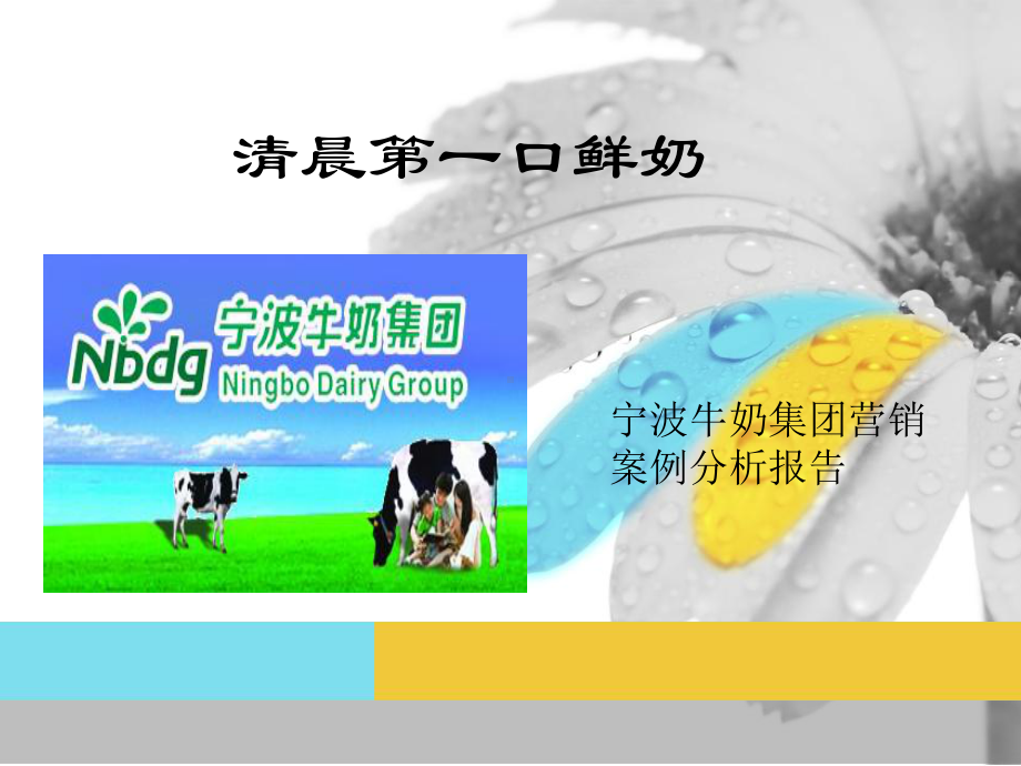 宁波乳业调研报告课件.ppt_第1页