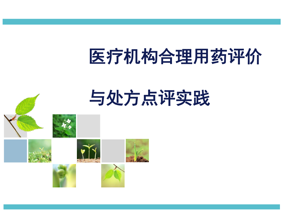 合理用药与处方点评课件.ppt_第1页