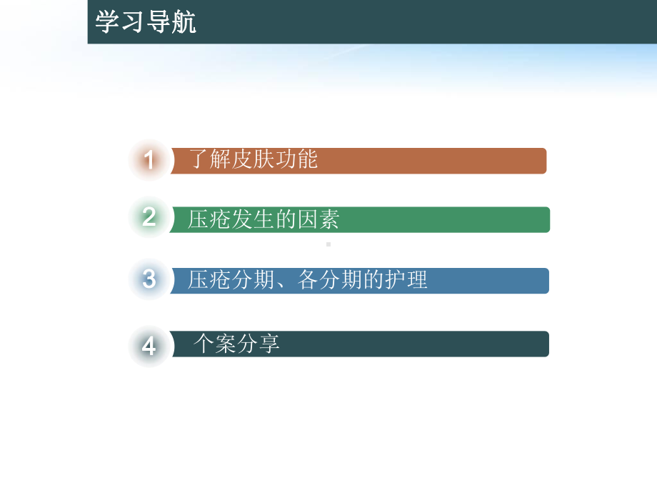 压疮护理个案分享-课件.ppt_第2页