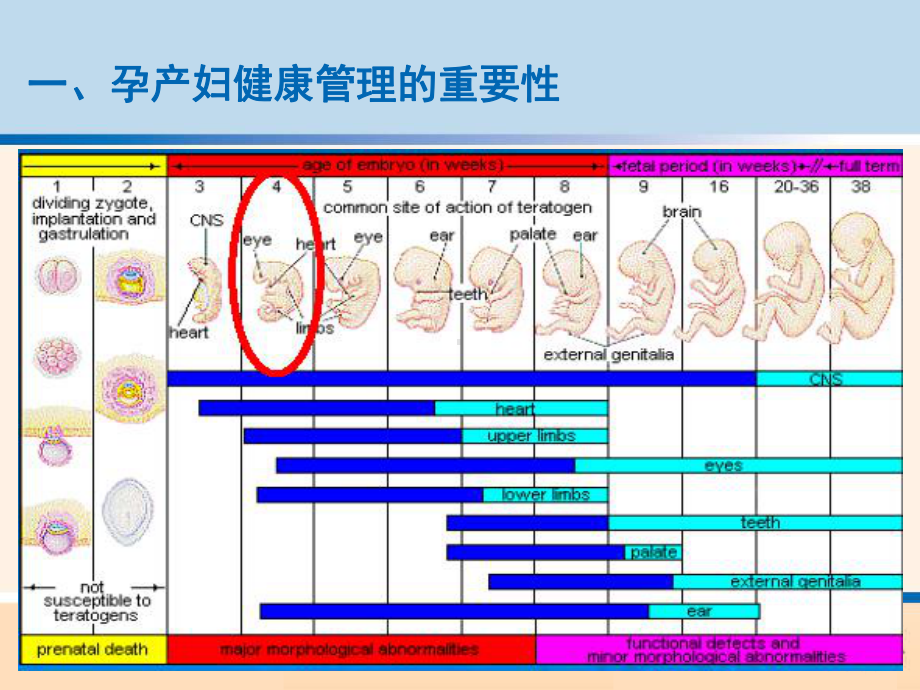 孕产妇健康管理的目标内容包括-课件.ppt_第3页