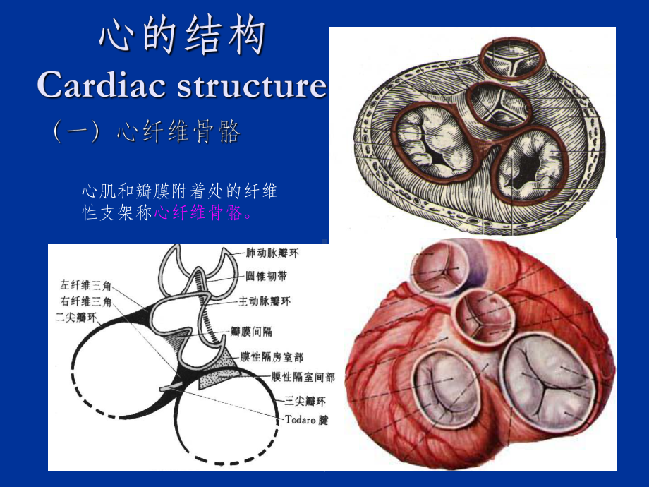 心脏肿瘤CT诊断最新版课件.ppt_第3页