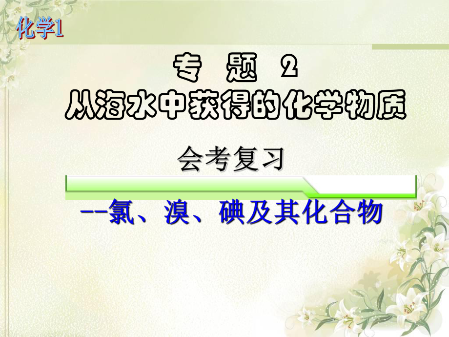 会考复习-氯、溴、碘及其化合物参考模板范本.ppt_第1页