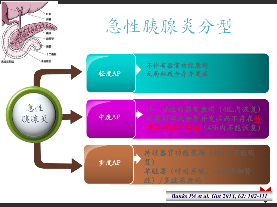 急性胰腺炎远期并发症的处理-课件.ppt_第2页