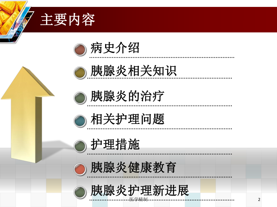 急性胰腺炎护理查房详版(内容详细)课件.ppt_第2页