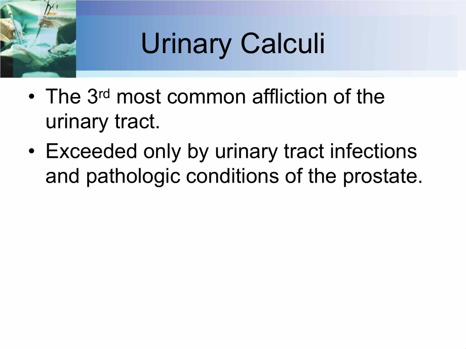 尿-石-症教学讲解课件.ppt_第2页