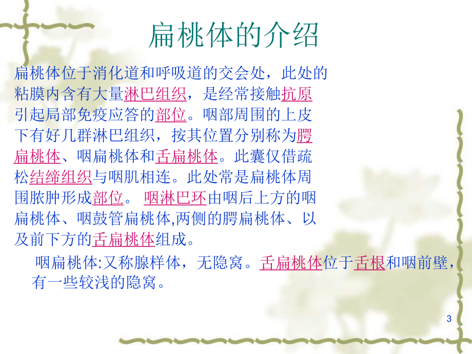 扁桃体炎课件(同名606).ppt_第3页