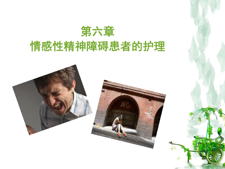 情感性精神障碍患者的护理-课件.ppt_第2页