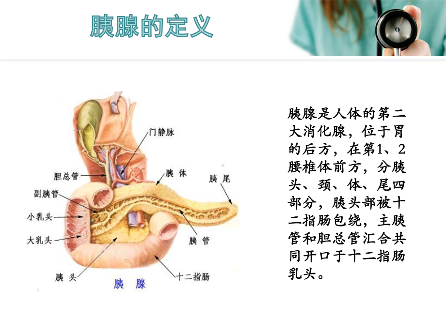 急性胰腺炎护理查房课件-整理.ppt_第3页