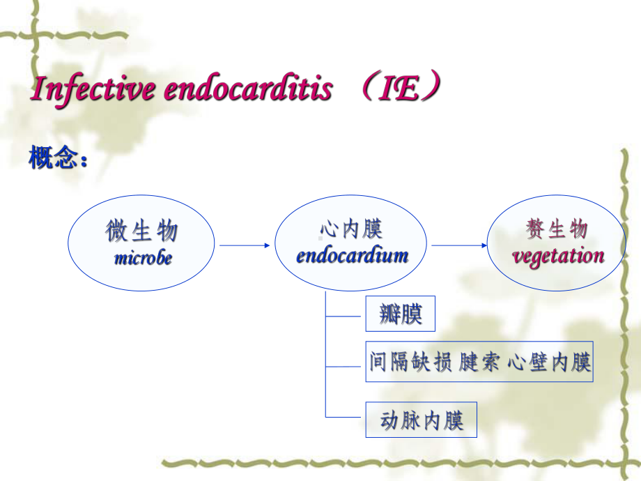 感染性心内膜炎infectiveendocard课件.ppt_第1页