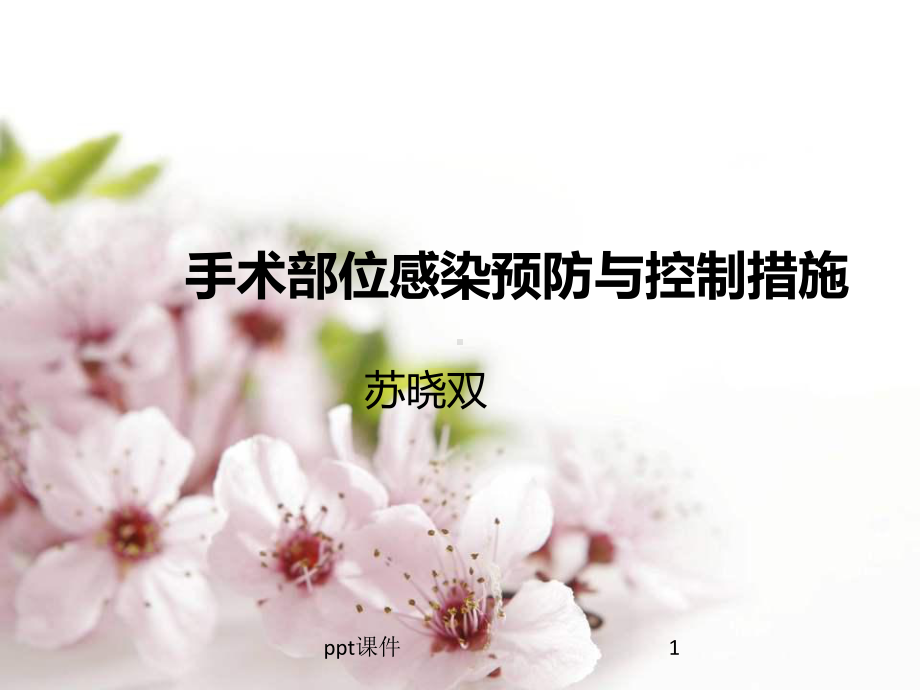 手术部位感染预防与控制措施-课件.ppt_第1页