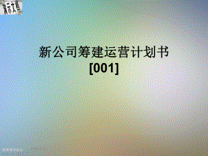 新公司筹建运营计划书[001]课件.ppt