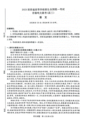 2023届河南省名校青桐鸣高三5月联考语文试卷+答案.pdf