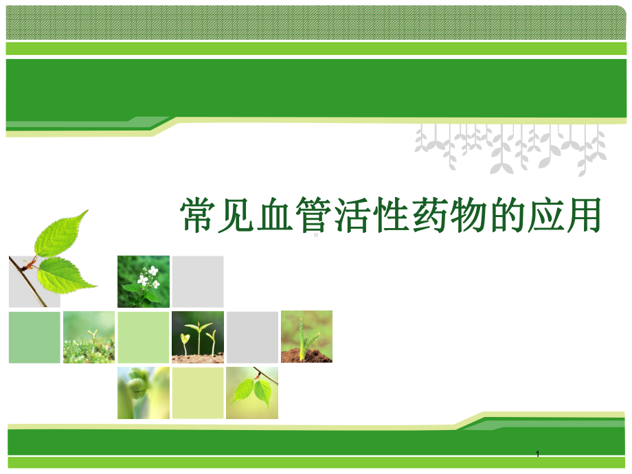 常见血管活性药物应用课件.ppt_第1页