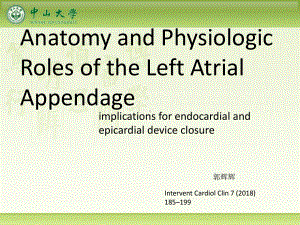 左心耳功能解剖课件.pptx