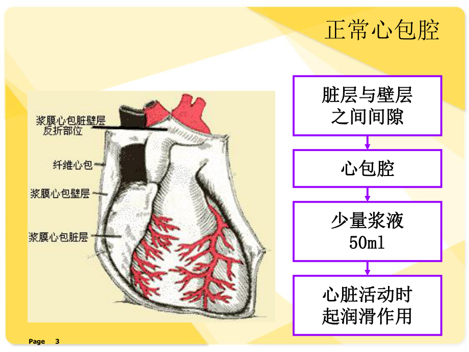 循环系统疾病-心包疾病-课件.ppt_第3页