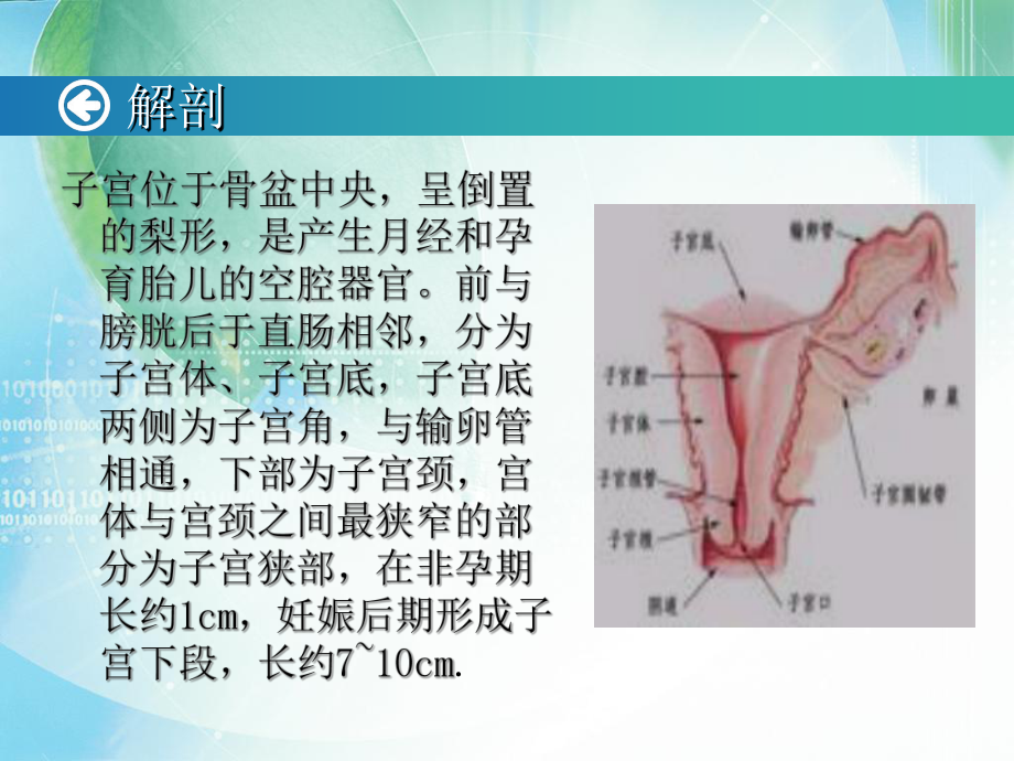 手术室月查房课件.ppt_第3页