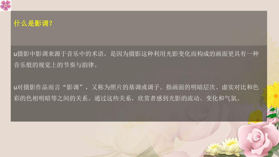 摄影摄像—影调的质感与色彩课件.ppt_第2页