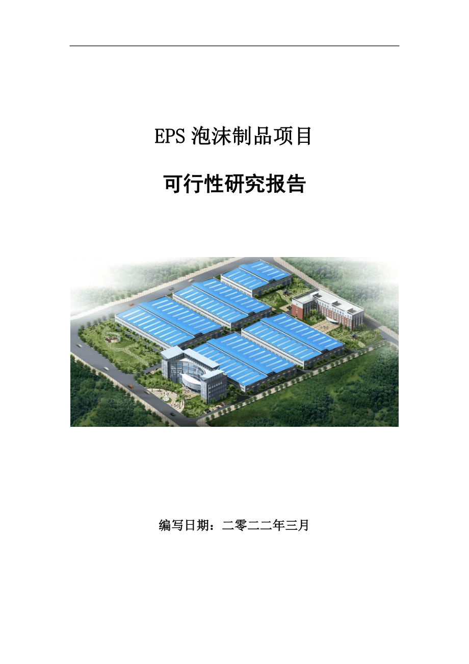 EPS泡沫制品项目可行性研究报告范文.doc_第1页