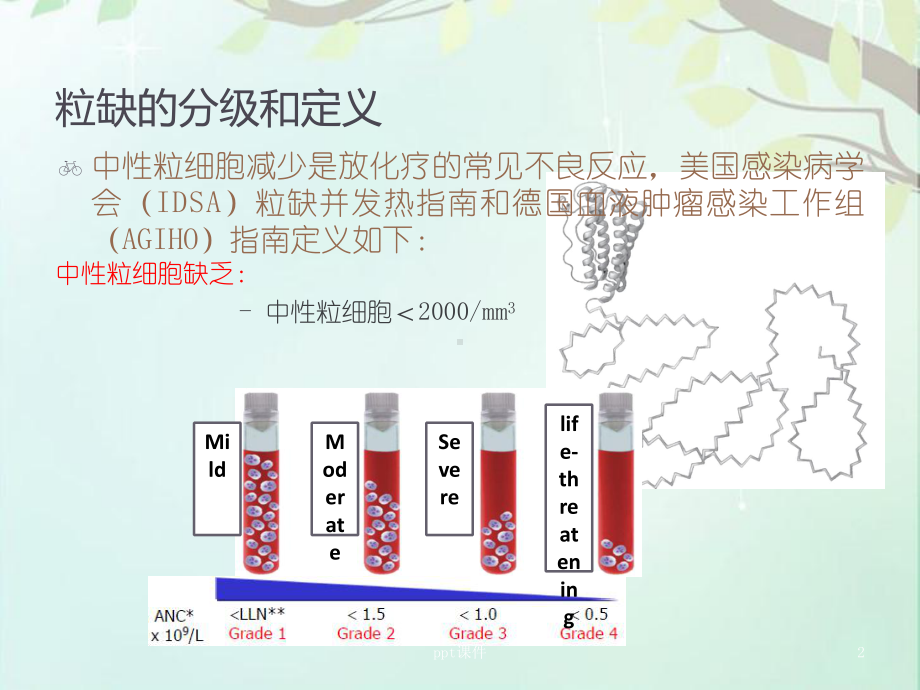 新瑞白(聚乙二醇化重组人粒细胞刺激因子注射液)-课件.ppt_第2页