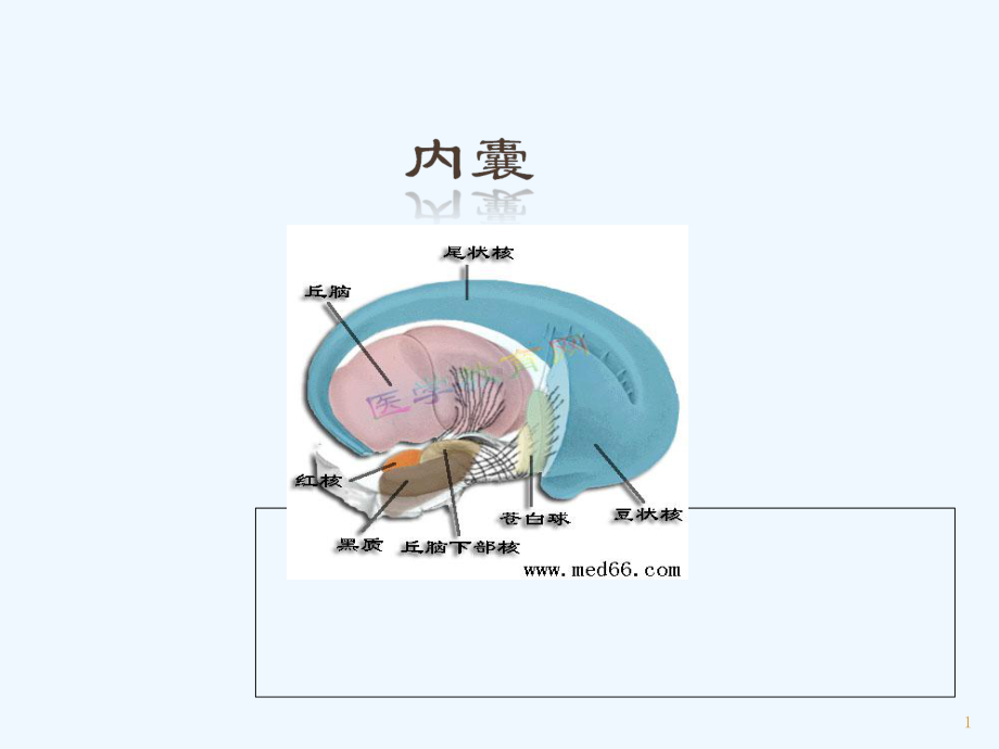 内囊-教学讲解课件.ppt_第1页