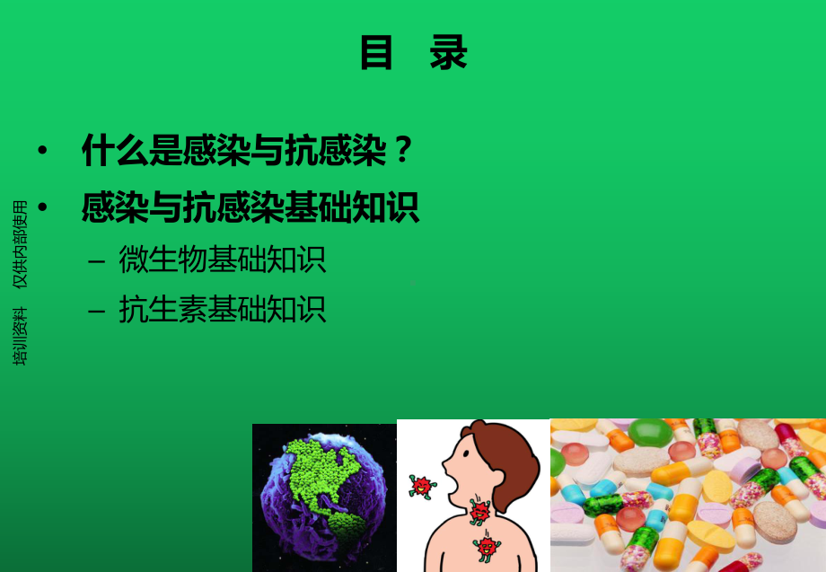 抗感染的基础概述课件.pptx_第2页