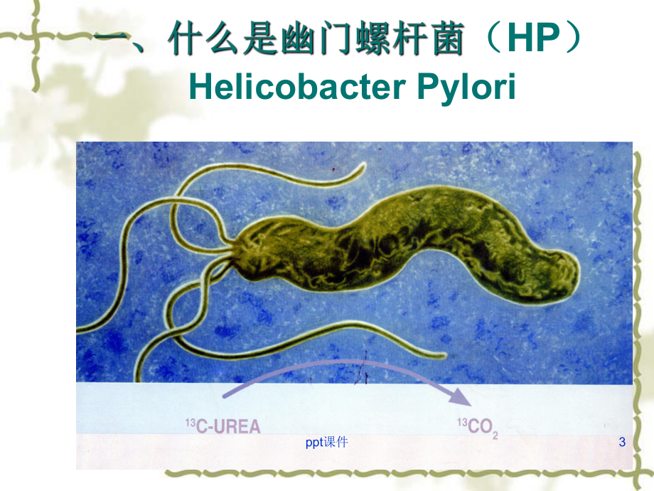 尿素[13C]呼气试验-课件.ppt_第3页