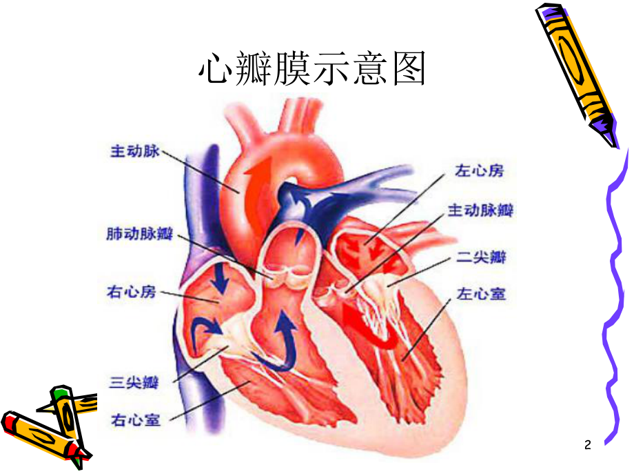 心脏瓣膜病课件(同名571).ppt_第2页