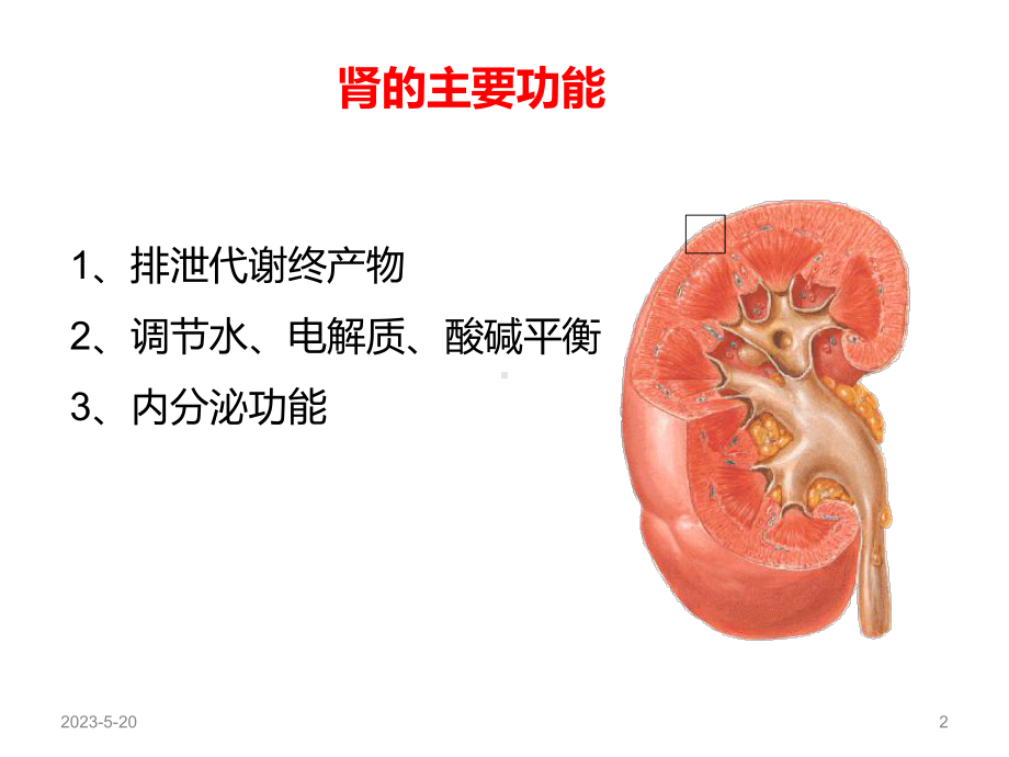 急性肾功能衰竭(同名210)课件.ppt_第2页