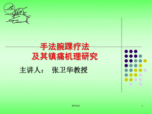 手法腕踝针及镇痛机理研究-课件.ppt