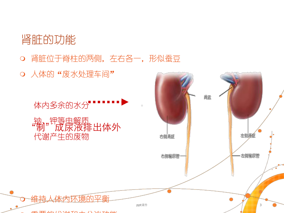 慢性肾病--课件.ppt_第3页