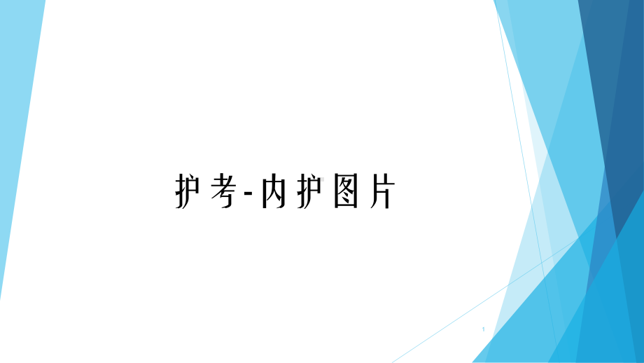 护士资格考试内护图片课件.ppt_第1页