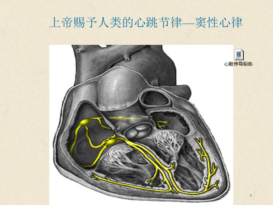 房颤治疗进展-课件.ppt_第3页