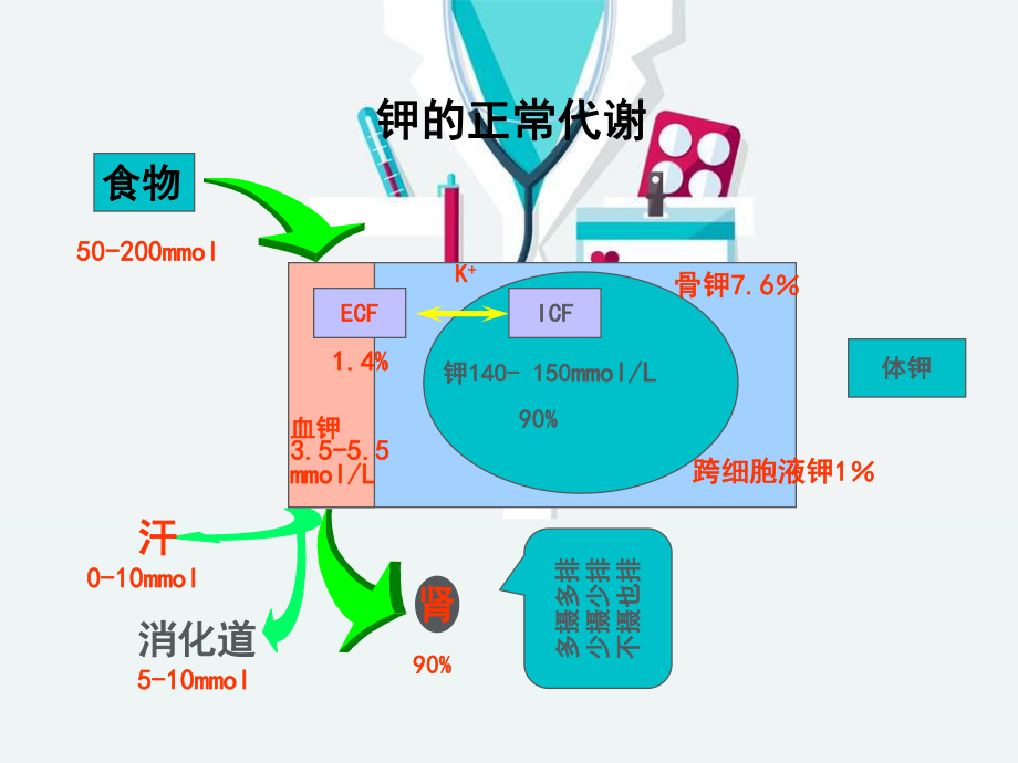 低钾血症-课件.ppt_第2页