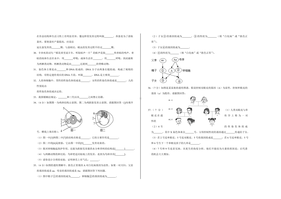 2021年人教版八年级生物下册期中考试试题及答案.doc_第3页