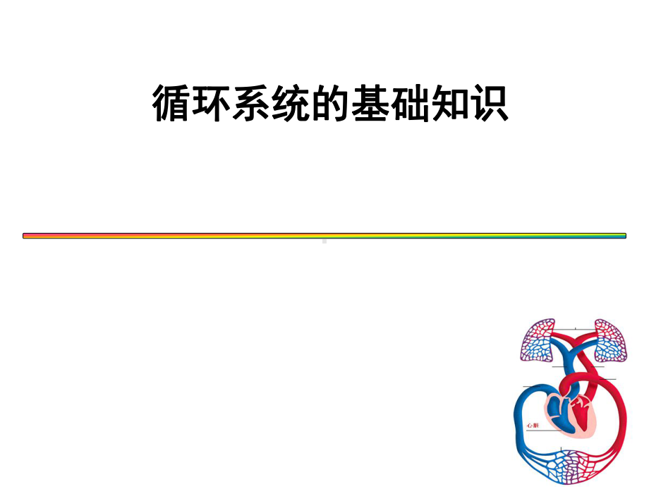 循环系统课件(同名557).ppt_第1页