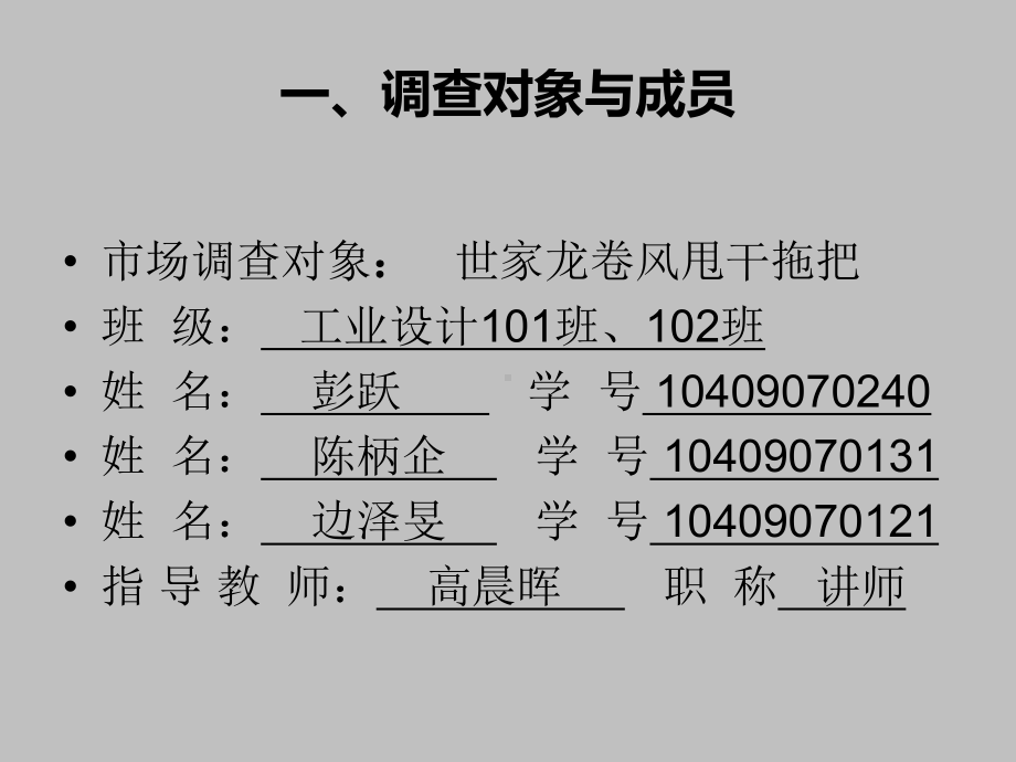 拖把市场调查报告课件.ppt_第3页