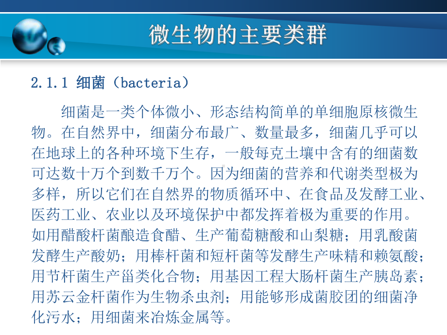 微生物的主要类群课件.ppt_第3页