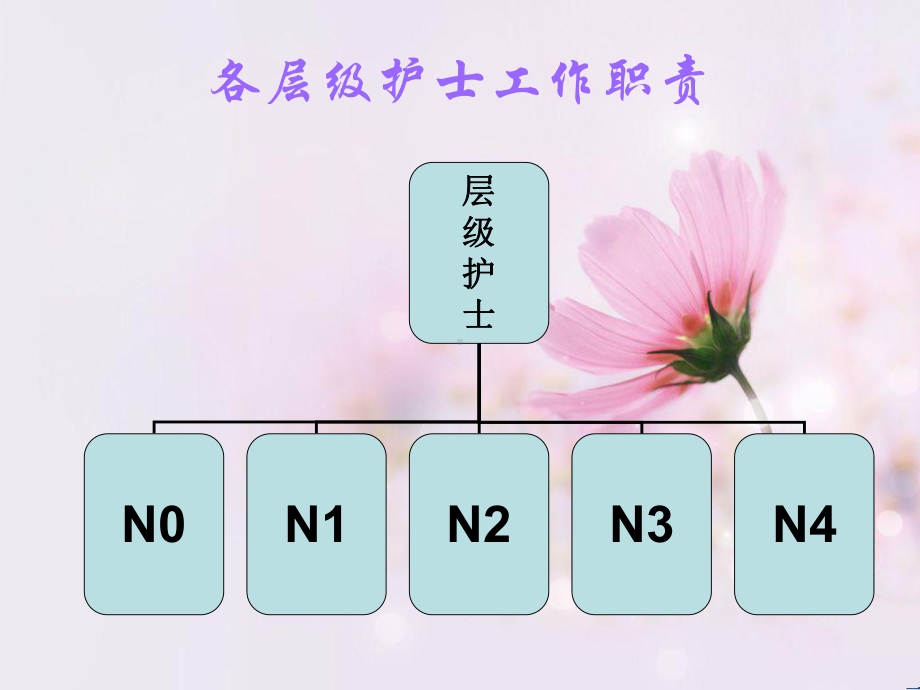 护理岗位职责方案.ppt_第2页