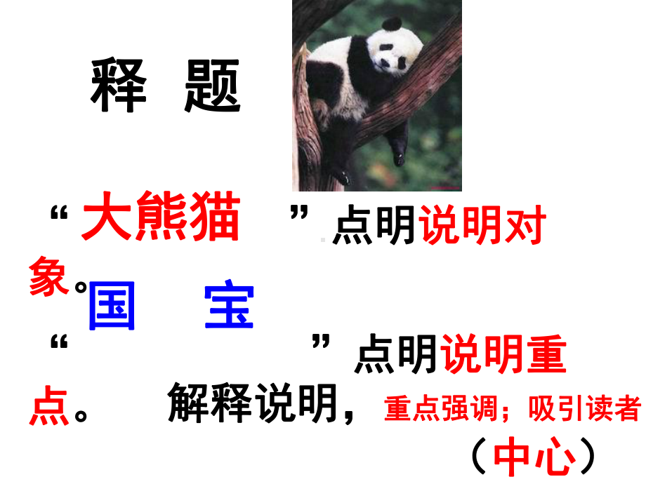 我--大熊猫课件.ppt_第3页