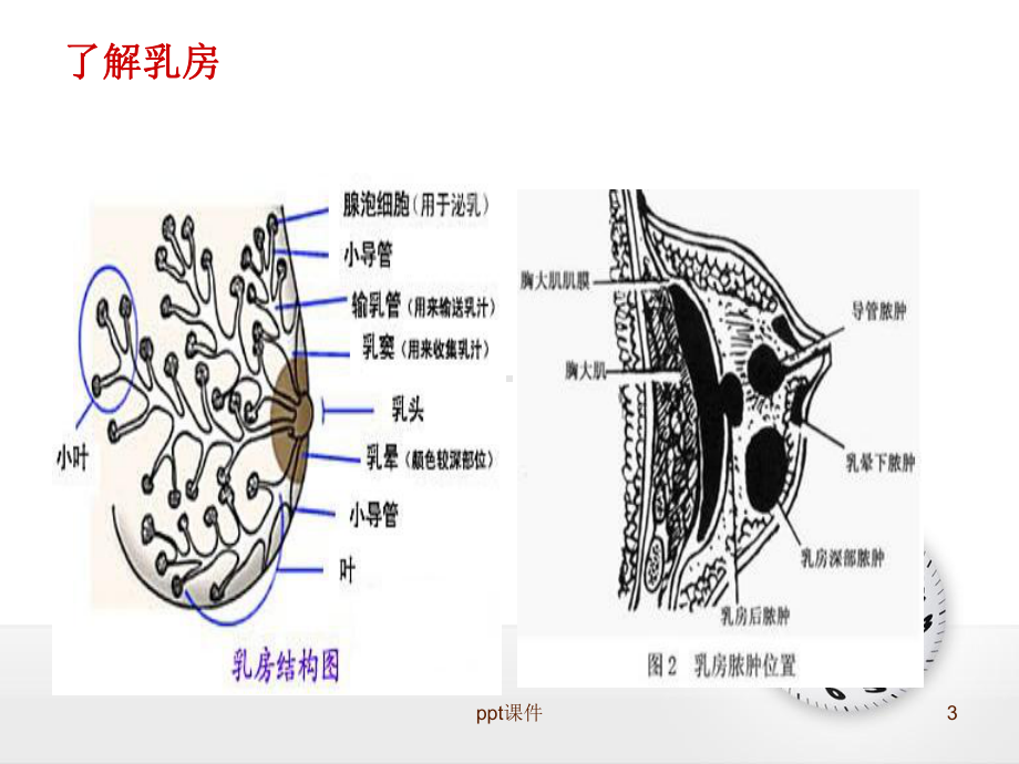 急性乳腺炎的护理-课件.ppt_第3页